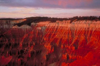sunrise on rock formations, cedar breaks state park, Utah--photo by Tom Till